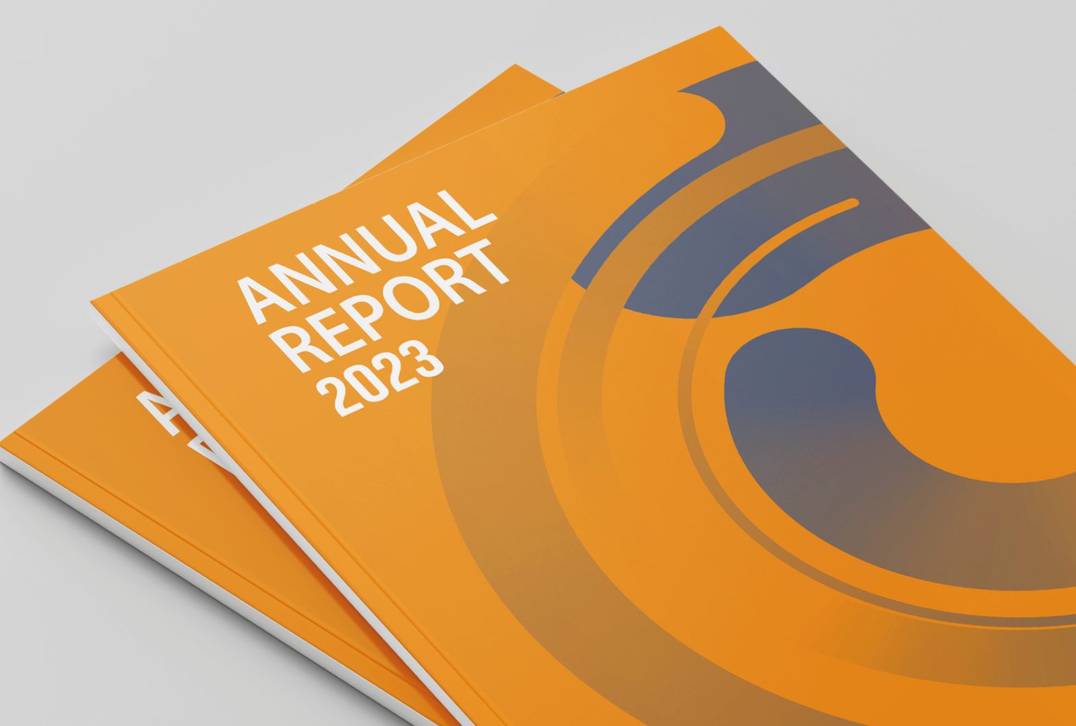 Annual Report 2024